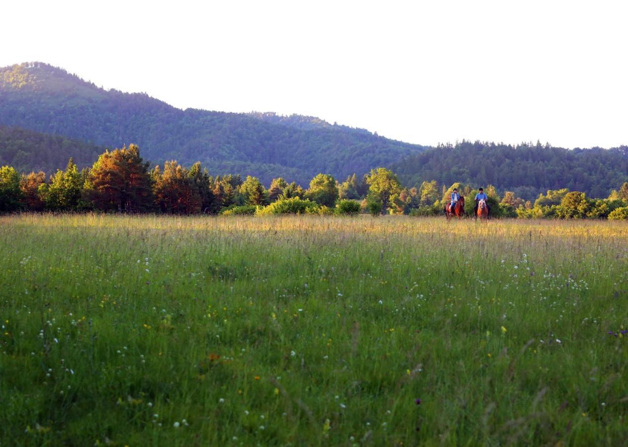 Notranjska Hisa - Traditional Country House, Close To The World Attraction Cerknica Lake Begunje pri Cerknici Екстериор снимка